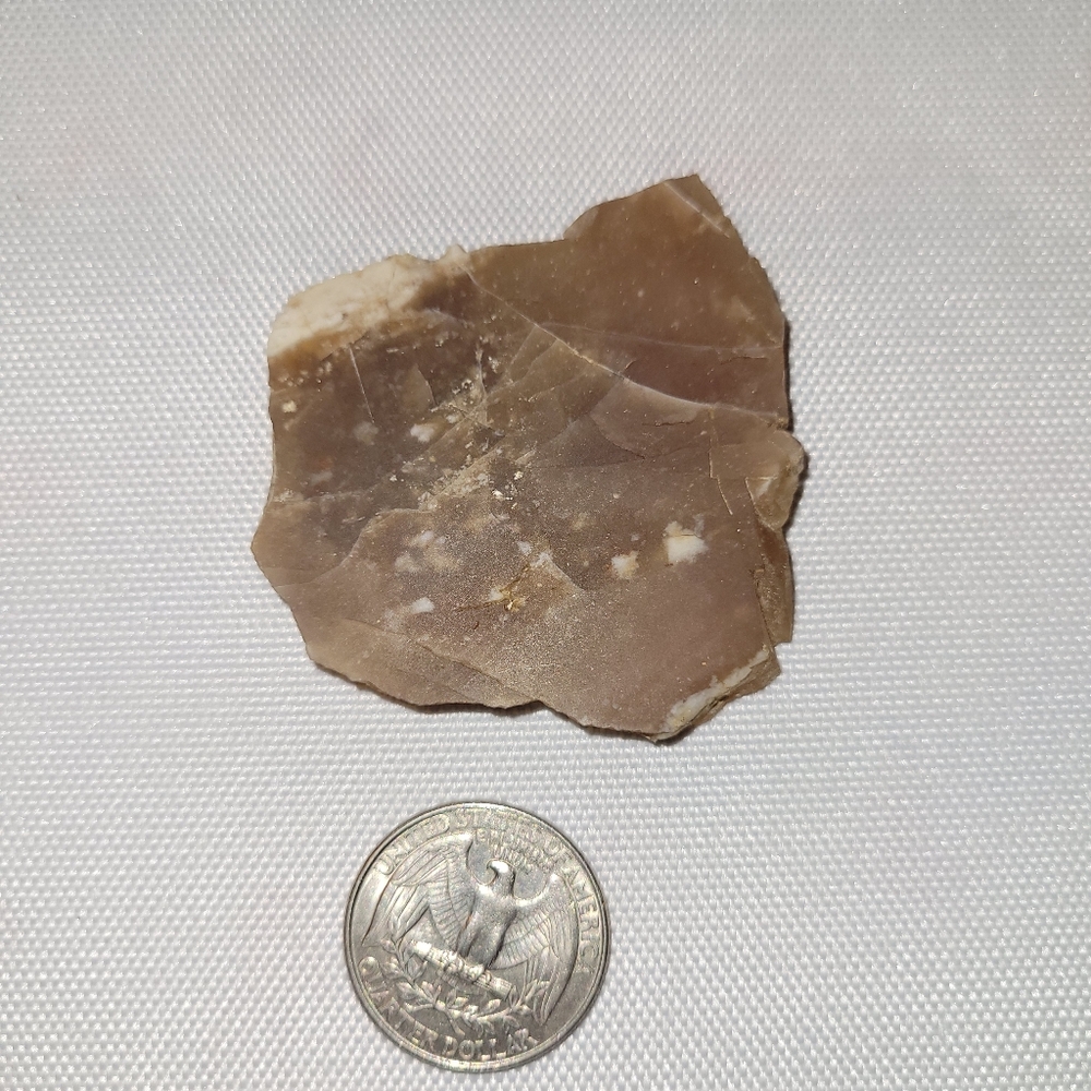 RARE Cut Slab of Raw Opal in Agate from Nevada
